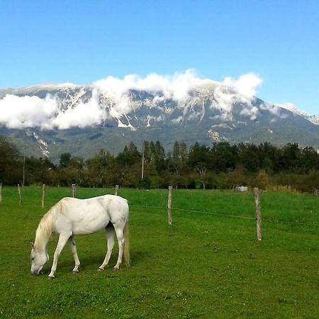 Apartma Kenda Bled Bagian luar foto